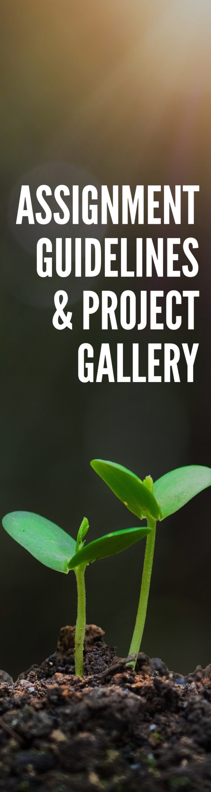 A long banner with a growing plant on the bottom and the words "Assignment Guidelines & Project Gallery" written in white.